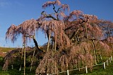 CIMG0023