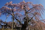 CIMG0025