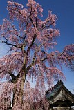 CIMG0026