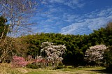 CIMG0029