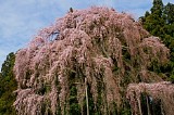 CIMG0037
