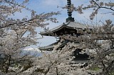 CIMG0038