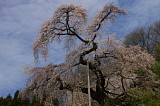 CIMG0039