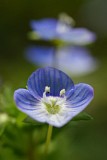 CIMG0042