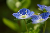 CIMG0043