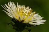 CIMG0045