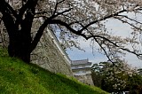 CIMG0046