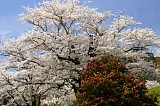 CIMG0048