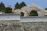 CIMG0051