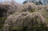 CIMG0053