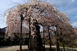 CIMG0055