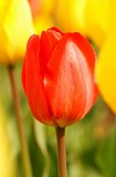 CIMG0058