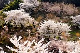 CIMG0060