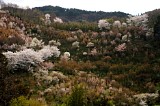CIMG0061