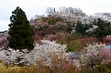 CIMG0063
