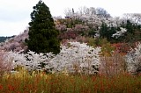 CIMG0064