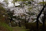 CIMG0065