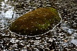 CIMG0066
